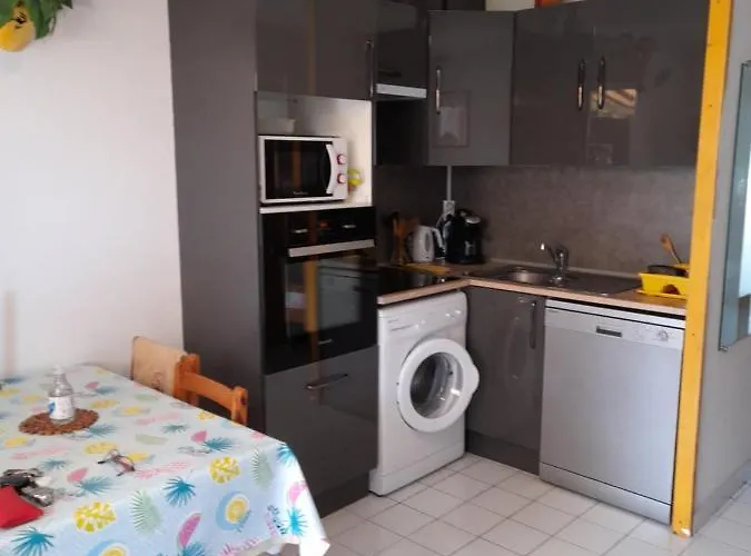 Joli T2 Rdc, Bord De , Piscine , Aresquiers 34